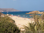 Vai Crete - Lassithi Prefecture - Photo 4 - Photo GreeceGuide.co.uk