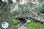 Houten brug at the helling of Filopappou-heuvel - Photo GreeceGuide.co.uk