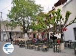 Taverna's, cafe's and restaurants in Anogia (Rethymnon Crete) - Photo GreeceGuide.co.uk