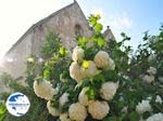 Monastery Arkadi Rethymnon - Photo GreeceGuide.co.uk