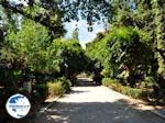The gemeentelijke park of Rethymnon - Photo GreeceGuide.co.uk