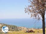 The sea from a hill near Kamiros (Rhodes) - Photo GreeceGuide.co.uk