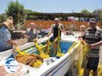 Fishermen near Taverna OI DIDIMOI near Kamiros - Photo GreeceGuide.co.uk