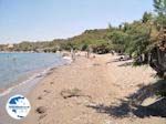 beach near Kamiros (Rhodes) - Photo GreeceGuide.co.uk