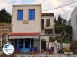 Cafe-Ouzeri in Marmari Evia - Photo GreeceGuide.co.uk