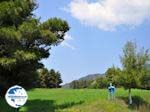 This is Greece too! near Aedipos and Orei - Photo GreeceGuide.co.uk