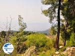 Green Northern Evia, near Aedipos and Orei - Photo GreeceGuide.co.uk