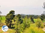 Beautiful natuur Photo of Northern Euboea, near Aedipos and Orei - Photo GreeceGuide.co.uk