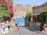 Rhodes town - Dodecanese - Greece Guide photo 17 - Photo GreeceGuide.co.uk