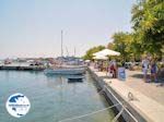 Rhodes town - Dodecanese - Greece Guide photo 9 - Photo GreeceGuide.co.uk