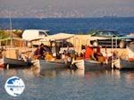 Fishing boats Eretria | Euboea Greece | Greece  - Photo GreeceGuide.co.uk