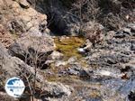 The waterfall of Euboea near Drimonas near Rovies | Euboea Greece | Greece  - Photo GreeceGuide.co.uk