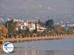 beach with palmbomen in Eretria | Euboea Greece | Greece  - Photo GreeceGuide.co.uk