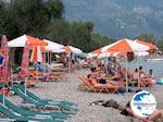 Small pebble beach Dassia (Dasia - Corfu) 3 - Photo GreeceGuide.co.uk