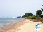 Corfu town near the Esplanade - Photo GreeceGuide.co.uk