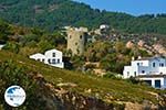 Near Mesakti Armenistis Ikaria | Greece | Photo 33 - Photo GreeceGuide.co.uk