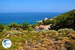 Avlaki Ikaria | Greece | Photo 3 - Photo GreeceGuide.co.uk