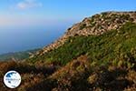 Noordkust Ikaria | Greece | Photo 1 - Photo GreeceGuide.co.uk