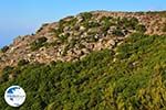 Noordkust Ikaria | Greece | Photo 2 - Photo GreeceGuide.co.uk