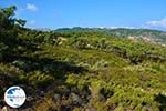 Mountainous Raches Ikaria | Greece | Photo 2 - Photo GreeceGuide.co.uk