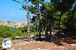 Mountainous Raches Ikaria | Greece | Photo 26 - Photo GreeceGuide.co.uk