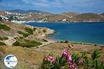 Tzamaria beach Ios town - Island of Ios - Cyclades Greece Photo 442 - Photo GreeceGuide.co.uk