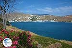 Tzamaria beach Ios town - Island of Ios - Cyclades Greece Photo 444 - Photo GreeceGuide.co.uk