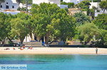 Island of Iraklia | Cyclades | Greece  | nr 30 - Photo GreeceGuide.co.uk