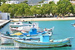 Island of Iraklia | Cyclades | Greece  | nr 54 - Photo GreeceGuide.co.uk