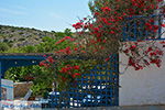 Island of Iraklia | Cyclades | Greece  | nr 61 - Photo GreeceGuide.co.uk