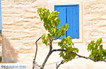 Island of Iraklia | Cyclades | Greece  | nr 130 - Photo GreeceGuide.co.uk
