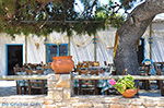 Island of Iraklia | Cyclades | Greece  | nr 137 - Photo GreeceGuide.co.uk