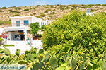 Island of Iraklia | Cyclades | Greece  | nr 148 - Photo GreeceGuide.co.uk
