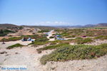 Itanos and Erimoupoli | Lassithi Crete | Photo 17 - Photo GreeceGuide.co.uk