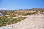 Itanos and Erimoupoli | Lassithi Crete | Photo 18 - Photo GreeceGuide.co.uk