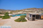 Itanos and Erimoupoli | Lassithi Crete | Photo 21 - Photo GreeceGuide.co.uk