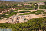 Itanos and Erimoupoli | Lassithi Crete | Photo 33 - Photo GreeceGuide.co.uk