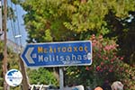 Melitsachas Myrties - Island of Kalymnos -  Photo 19 - Photo GreeceGuide.co.uk