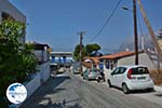 Melitsachas Myrties - Island of Kalymnos -  Photo 21 - Photo GreeceGuide.co.uk