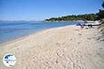 Golden Beach near Pefkochori | Kassandra Halkidiki | Greece  Photo 1 - Photo GreeceGuide.co.uk