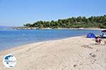 Golden Beach near Pefkochori | Kassandra Halkidiki | Greece  Photo 2 - Photo GreeceGuide.co.uk