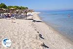 Golden Beach near Pefkochori | Kassandra Halkidiki | Greece  Photo 9 - Photo GreeceGuide.co.uk