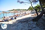 Chrousso beach near Paliouri | Kassandra Halkidiki | Greece  Photo 1 - Photo GreeceGuide.co.uk