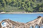 Chrousso beach near Paliouri | Kassandra Halkidiki | Greece  Photo 2 - Photo GreeceGuide.co.uk