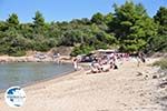 Chrousso beach near Paliouri | Kassandra Halkidiki | Greece  Photo 6 - Photo GreeceGuide.co.uk