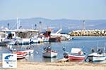 Nea Fokea | Kassandra Halkidiki | Greece  Photo 25 - Photo GreeceGuide.co.uk