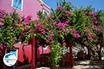 Megisti Kastelorizo - Kastelorizo island Dodecanese - Photo 129 - Photo GreeceGuide.co.uk