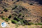 Hiking trail to Karthaia | Kato Meria | Kea (Tzia) 13 - Photo GreeceGuide.co.uk