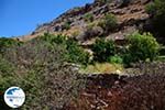 Hiking trail to Karthaia | Kato Meria | Kea (Tzia) 27 - Photo GreeceGuide.co.uk