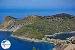Assos Kefalonia - GreeceGuide.co.uk photo 4 - Photo GreeceGuide.co.uk